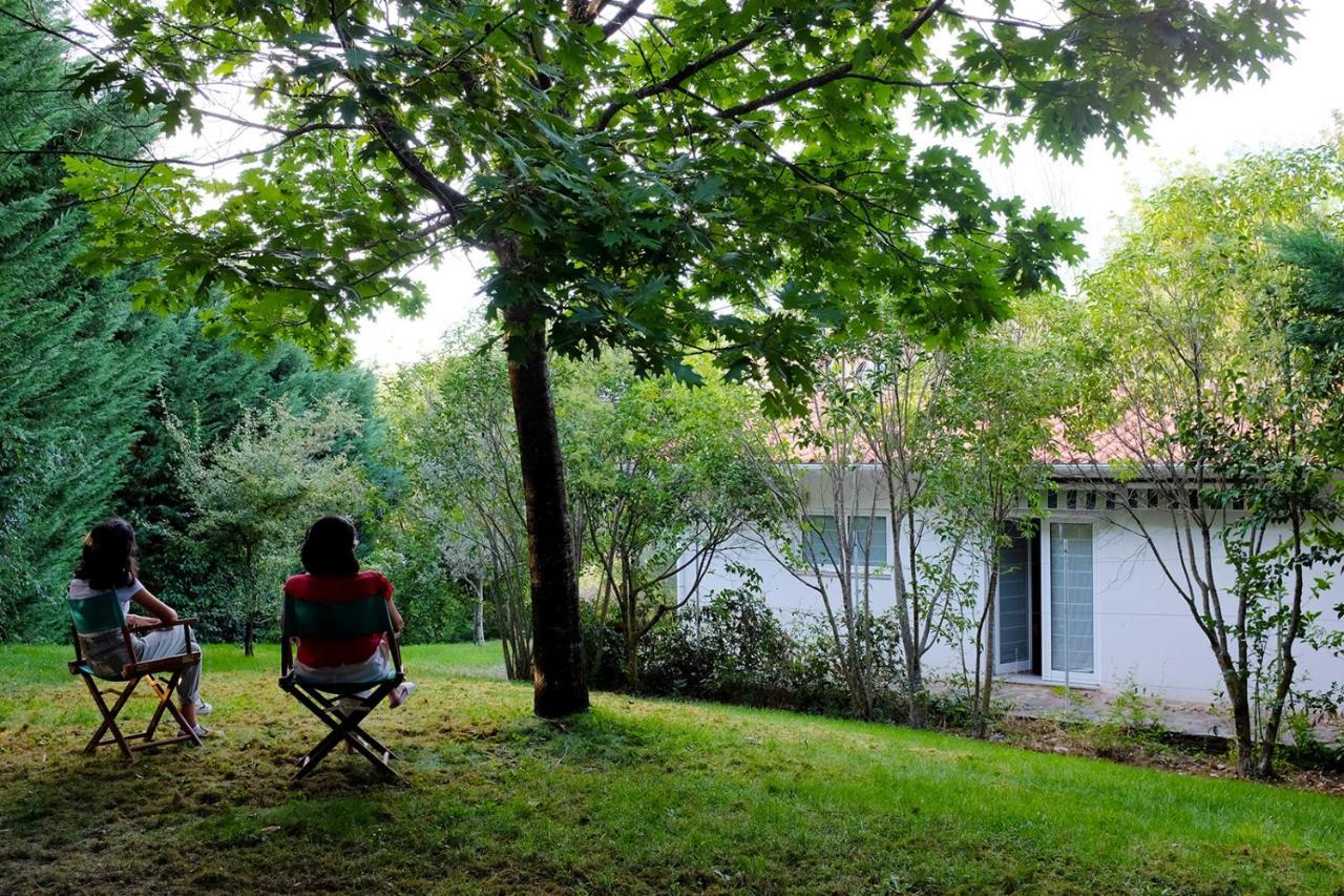Casa Do Galo / Galo House Villa Vimioso Bagian luar foto